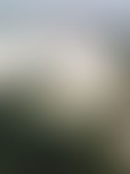 Projek tebatan banjir RM15 bilion gagal tunjuk impak, PUTRA desak penilaian prestasi