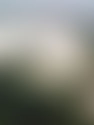 Projek tebatan banjir RM15 bilion gagal tunjuk impak, PUTRA desak penilaian prestasi