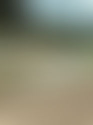 Projek Tebatan Banjir Lembangan Sungai Jawi meliputi kawasan seluas 261.25 km² di daerah Seberang Perai Selatan, mengurangkan risiko banjir kepada lebih 6,000 penduduk