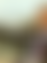 E-Logger, sistem kenal pasti kerosakan lif