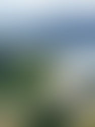 SCORE Catat Pelaburan RM123 Bilion pada 2024, Pacu Pertumbuhan Ekonomi Sarawak dan Jana Lebih 53,000 Peluang Pekerjaan