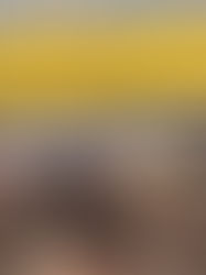 Kemalangan lori kontraktor: NIOSH sedia kerjasama kaji semula protokol keselamatan