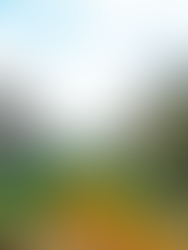 Johor jangka selesai 9 projek perumahan sakit dan terbengkalai