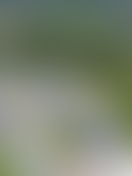 Projek solar berskala besar akan beroperasi 2025