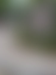 Projek naik taraf Hutan Bandar Johor Bahru bernilai RM10.3 juta siap 2026