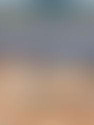 Wawasan Dengkil bangunkan projek loji solar 70MW di Kedah