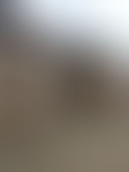 Harga simen September 2024 naik hampir 3% berbanding bulan sama tahun lalu - DOSM