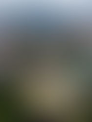 Isu Kampung Sungai Baru: Disarankan agar kerajaan menubuhkan satu jawatankuasa dan auditor bebas, perlu sesi dialog secara telus dan terbuka, penduduk mendakwa mereka menjadi mangsa penipuan