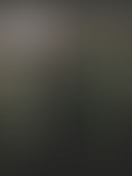 Rangka Kerja Pengawalan Berkaitan Kelestarian Berpotensi Rangsang Pembangunan Pusat Data Baharu - BMI