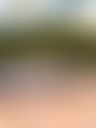 Helios Photovoltaic rancang projek solar dan safari RM5.5b di Kelantan