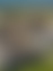 Projek sakit sekolah dan perumahan rakyat jadi tumpuan LKAN di Dewan Rakyat