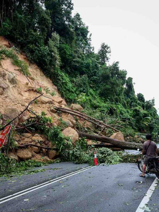 Malaysia perlu utamakan vegetasi semula jadi dalam pengurusan cerun untuk kurangkan risiko tanah runtuh