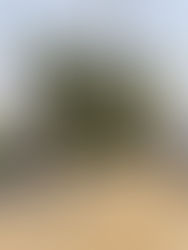 Bintai Kinden dapat kontrak TNB untuk pemasangan autotransformer di PMU Bukit Tengah