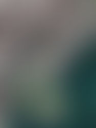 Projek tambakan laut di Karpal Singh Drive masih menunggu kelulusan EIA, masih terbuka untuk semak semula