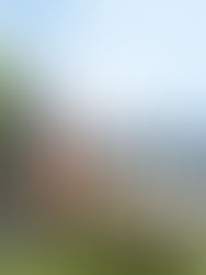 SkyWorld batal projek kedua di Vietnam