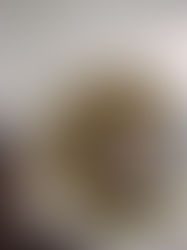 Mewujudkan satu sistem pengawasan yang menyeluruh, konsisten dan telus dalam setiap peringkat pelaksanaan projek infrastruktur penting bagi membanteras gejala rasuah