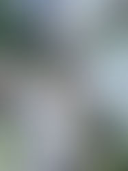 Naik taraf jalan atasi masalah kesesakan di Cameron Highlands siap dalam dua tahun lagi