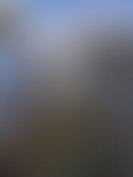 RMK13: Terengganu terajui industri penyimpanan karbon; Carbon Capture, Utilization, and Storage (CCUS)