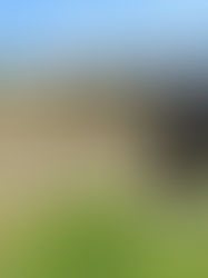 Kelantan akan usul cadangan bina tembok di sempadan Malaysia-Thailand