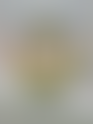 Lebih 8,000 unit rumah mampu milik disiapkan di Perak sejak 2018, kerjasama antara agensi kerajaan negeri dan persekutuan