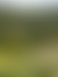 PBAPP tangani isu tekanan air rendah di Seberang Perai Selatan