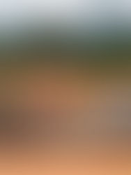 Isu tapak, tanah dan kontraktor antara punca kelewatan projek luar bandar