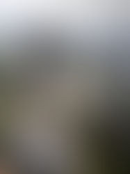 KKR tegas tangani projek sakit dan kelemahan audit