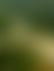 LPT3: Cadangan kos projek dijangka meningkat RM9.8 bilion