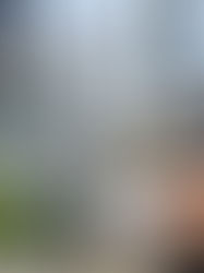 Penduduk Kampung Sungai Baru secara rasmi menuntut Pejabat Tanah dan Galian (PTG) menjalankan siasatan terhadap status tanah milik mereka, Penempatan Pertanian Melayu (MAS)