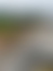 7 projek RTB bernilai RM1.43 bilion di Kedah diteruskan dengan pemantauan JPS dan PETRA