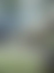 Penduduk Cyberjaya resah unit rumah dijadikan asrama pekerja