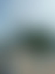 Kerjaya Prospek Group Berhad dianugerahkan kontrak bernilai RM11.36 juta untuk pembinaan tanjakan pejalan kaki di Bandar Tanjung Pinang, Pulau Andaman, Pulau Pinang