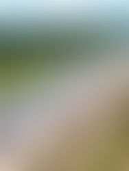 Projek pelebaran Lebuhraya PLUS Yong Peng Utara - Senai Utara capai 46.44 peratus