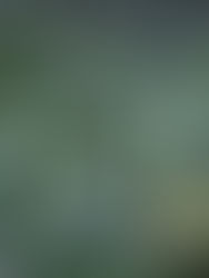 GDB peroleh penghakiman RM102.08 juta bagi projek 8 Conlay