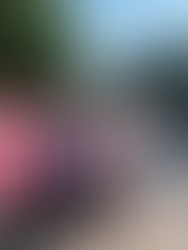 RM250 juta atasi jalan raya ‘maut’ Batu Pahat-Ayer Hitam