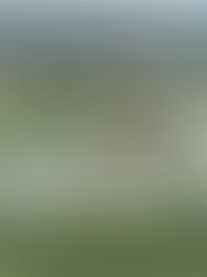 Advancecon terima kontrak kerja tanah RM36.1 juta daripada Sime Darby Property