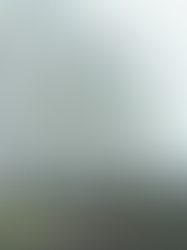 Jangan jadi krisis subprima seperti AS
