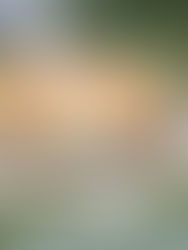 Kelewatan Kompleks Sukan Shah Alam jejaskan unjuran MRCB FY25