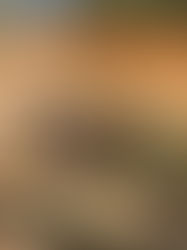 Pemandu jengkaut kerja lereng, maut dalam tanah runtuh di Simpang Pulai