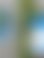 Perak Corp jalin kerjasama dengan Megaconn Technologies untuk projek meter air pintar