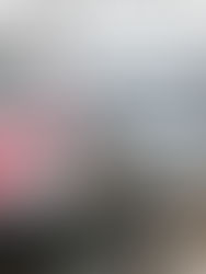 Trans-Borneo Railway RM63.3 bilion dijangka jadi projek rel rentas sempadan terbesar ASEAN