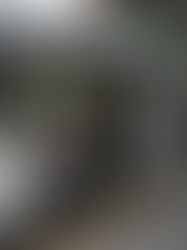 Singapura uji bas awam ‘driveless’ bermula pertengahan 2026 selama tiga tahun, bas kecil dengan sekurangnya 16 tempat duduk