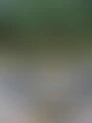 3,000 jentera berat, tambahan jambatan bailey antara aset KKR hadapi bencana banjir