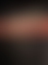 Gamuda Berhad dianugerah kontrak AUD625 juta projek ladang solar