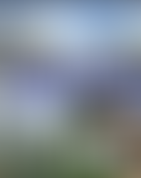 PR1MA Rantau bakal siap guna kontraktor sedia ada, bukan penyelamat - Zuraida