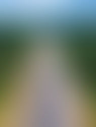 Anwar arah percepatkan projek Lebuh Raya Pan Borneo di Sabah