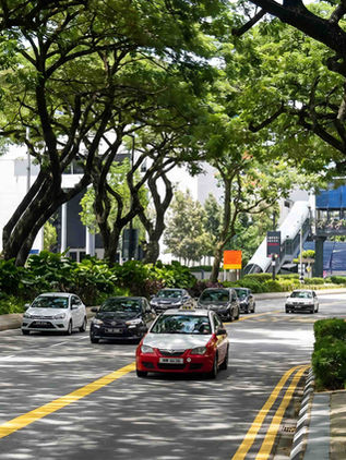 Pengurusan pencegahan penting bendung insiden pokok tumbang di bandar - Pakar