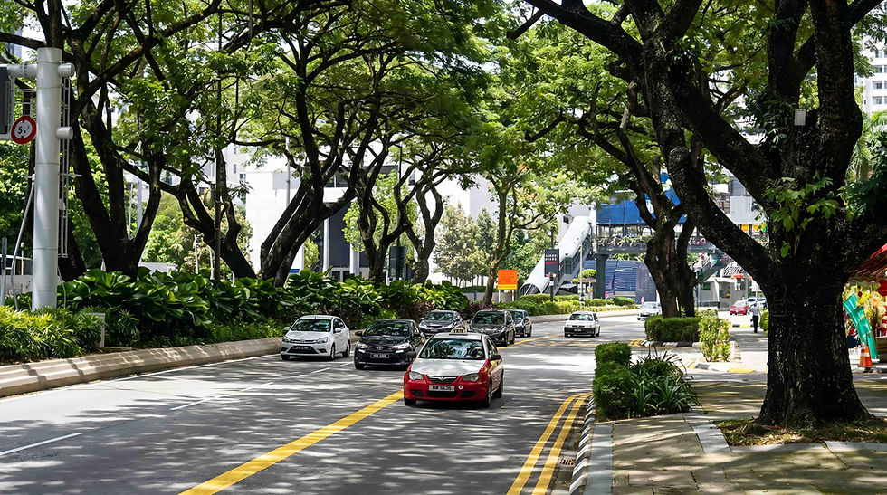 Pengurusan pencegahan penting bendung insiden pokok tumbang di bandar - Pakar