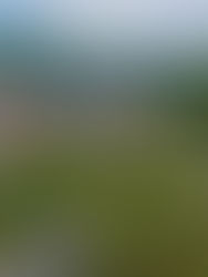 LKAN dedah UKM langgar tatacara tender, lantik 3 syarikat tanpa syor panel penilai