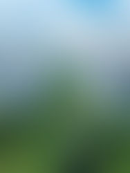 Gamuda Land Perkukuh Kehadiran di Bandaraya Hai Phong, Vietnam dengan Projek Ke-8 Bernilai RM1 Bilion